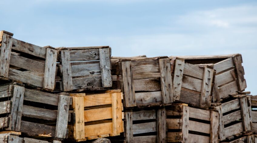 Muchos depósitos aún usan madera para el acopio, pero los costos ocultos son altos. Desglosamos por qué la cajonería plástica de alta resistencia de Vanedil reduce mermas, optimiza espacio y ofrece mayor vida útil.